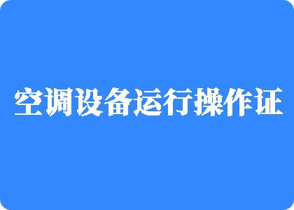 大鸡吧吃小穴视频制冷工证